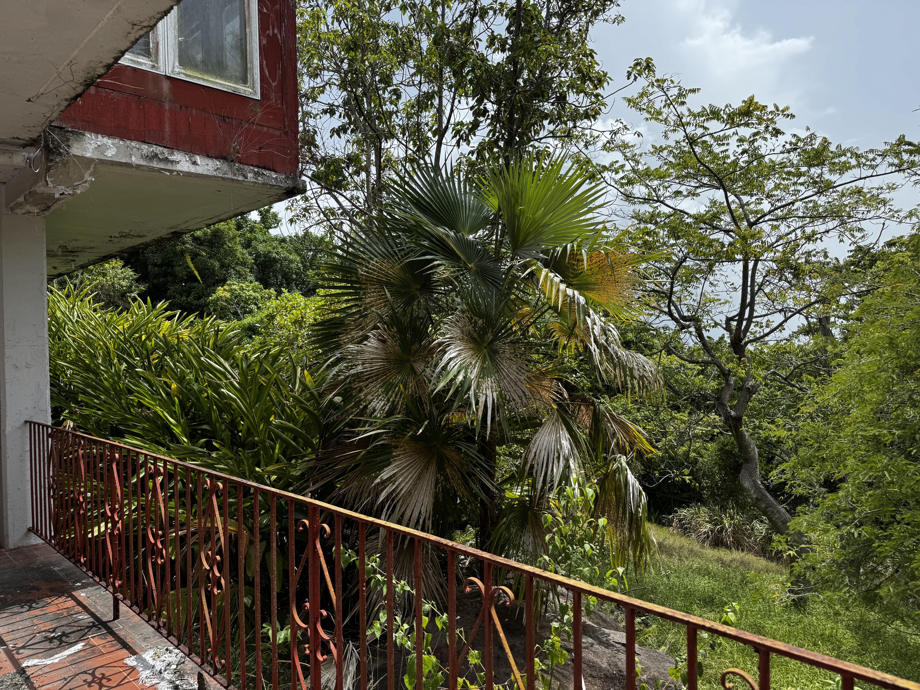 Image 15