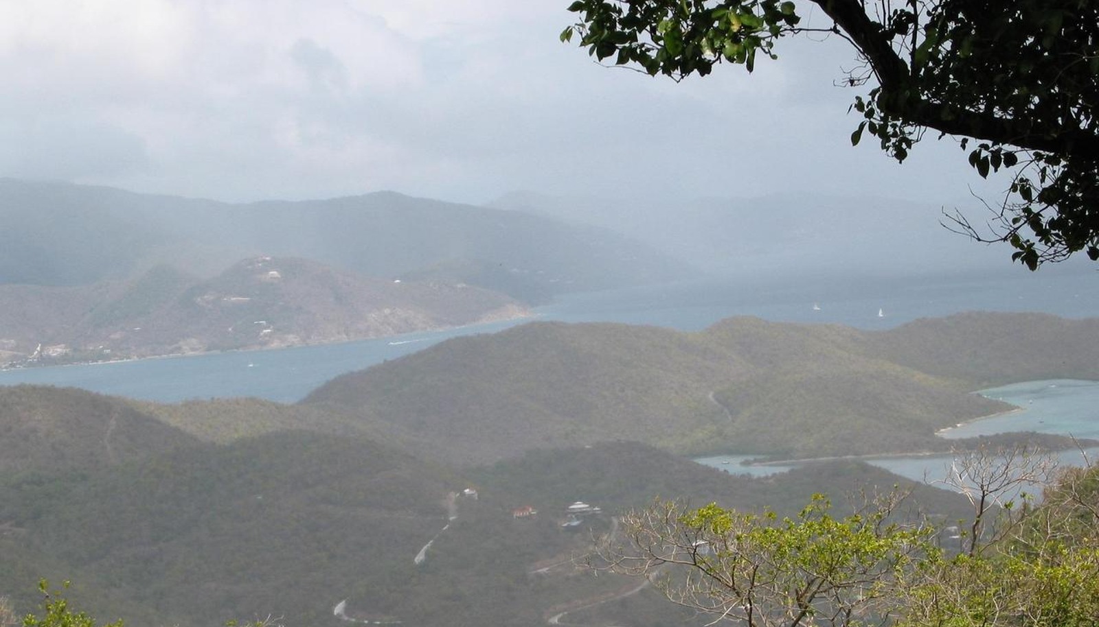 Image 2