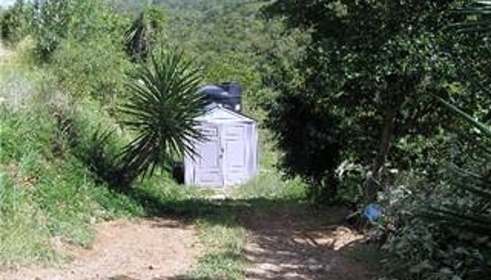 Image 10
