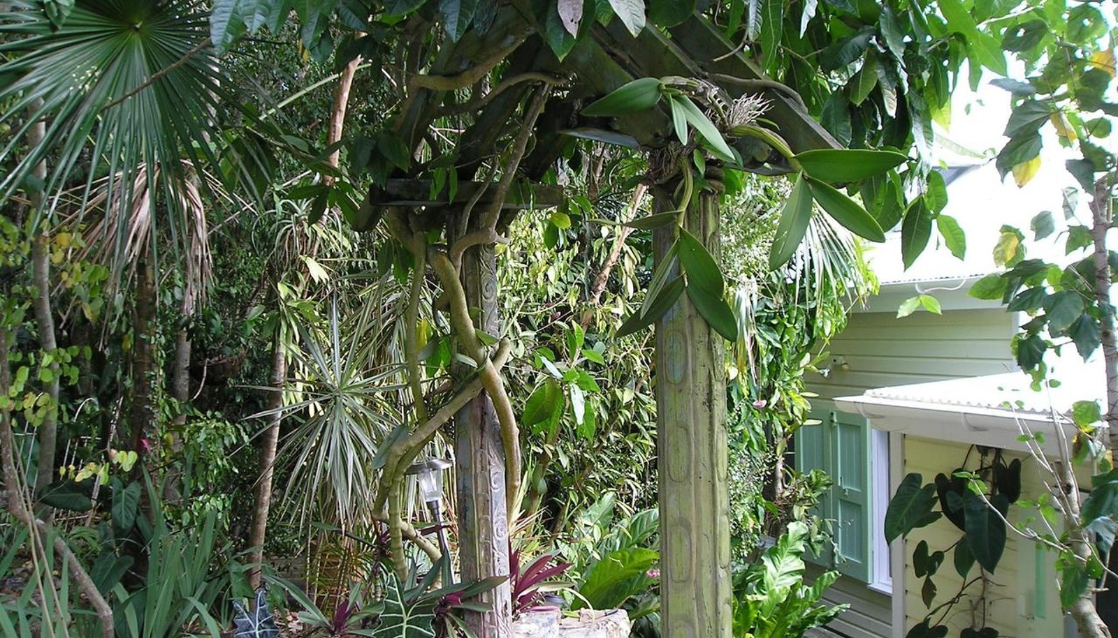 Image 13