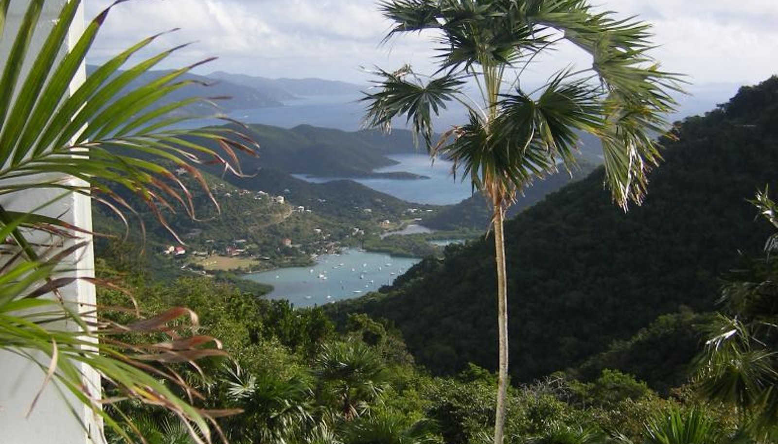 Image 14