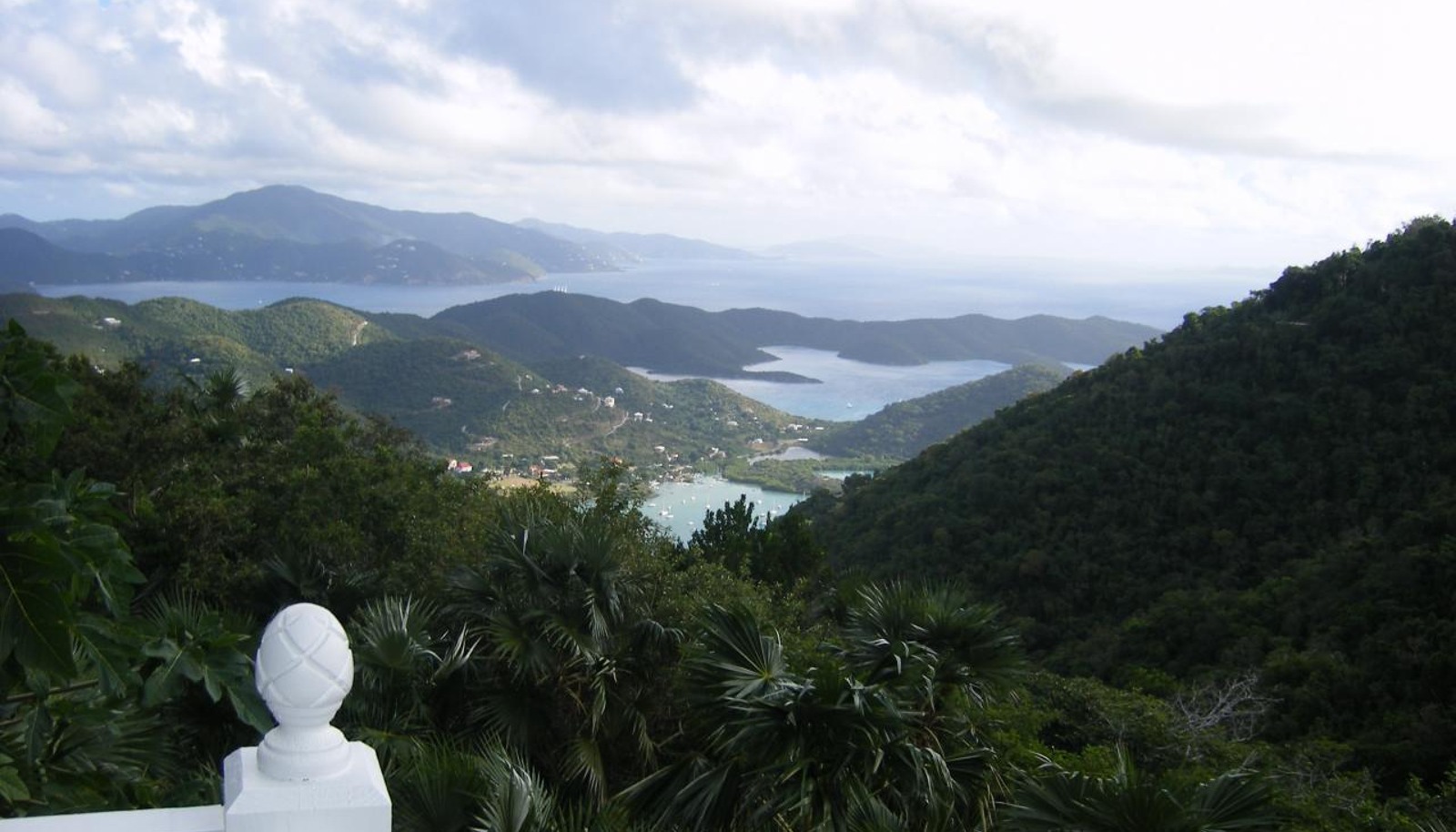 Image 15