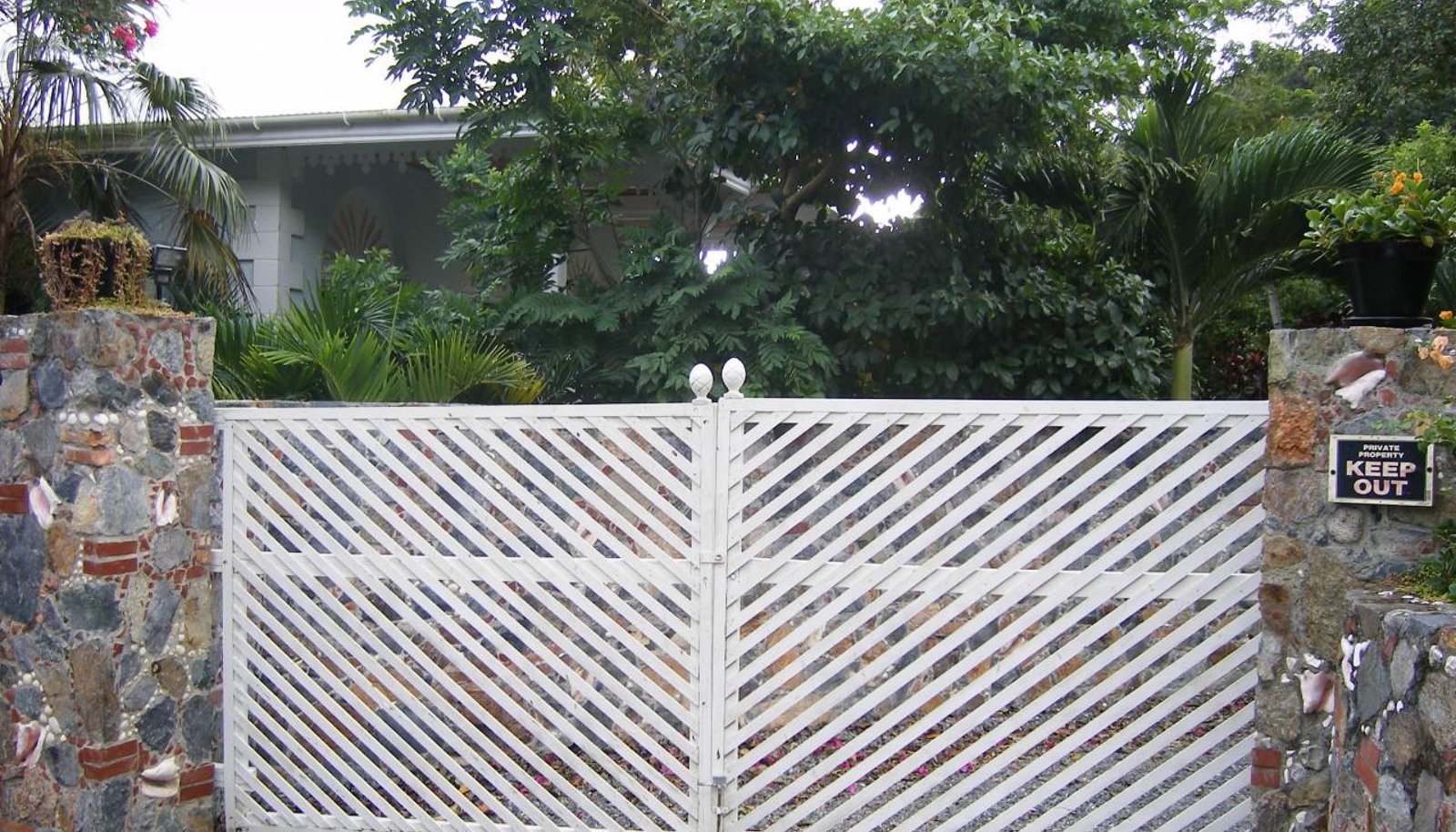 Image 16