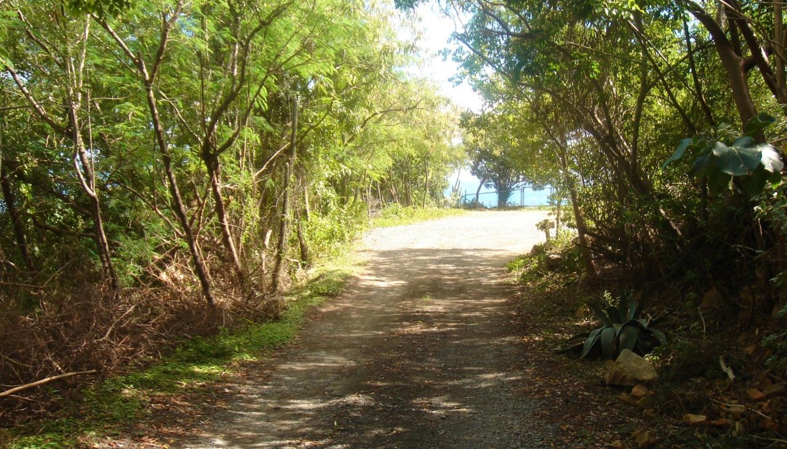 Image 6
