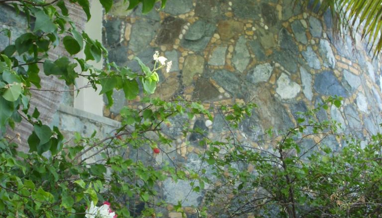Image 16