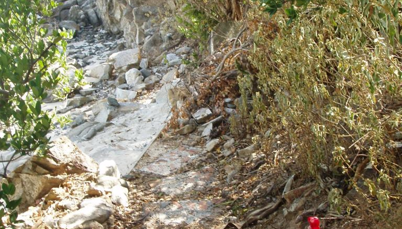 Image 10