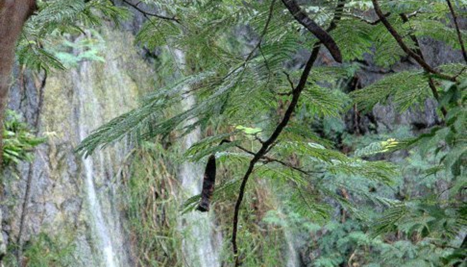 Image 36