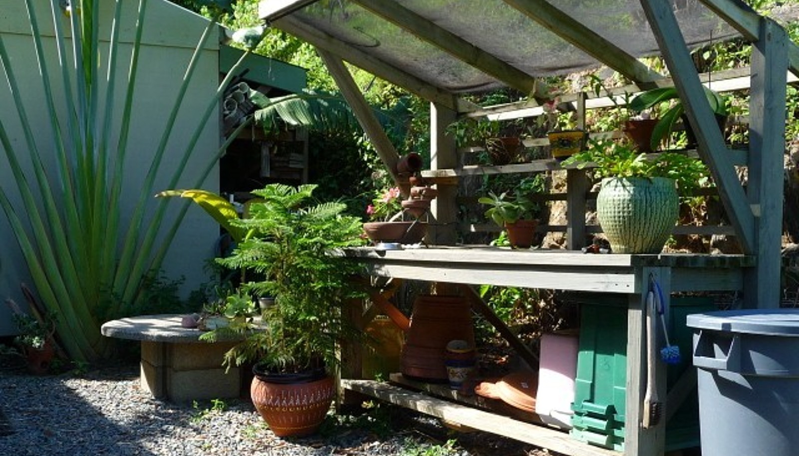 Image 19