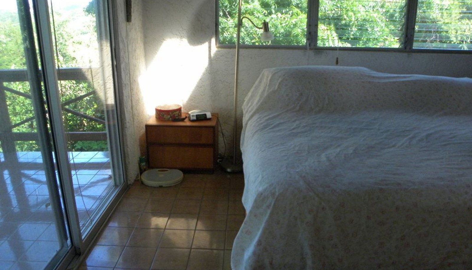 Image 12