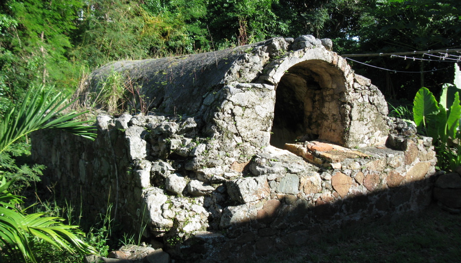 Image 11