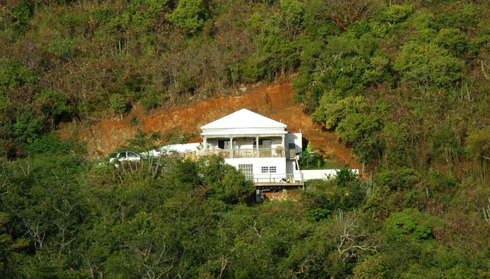 Image 7