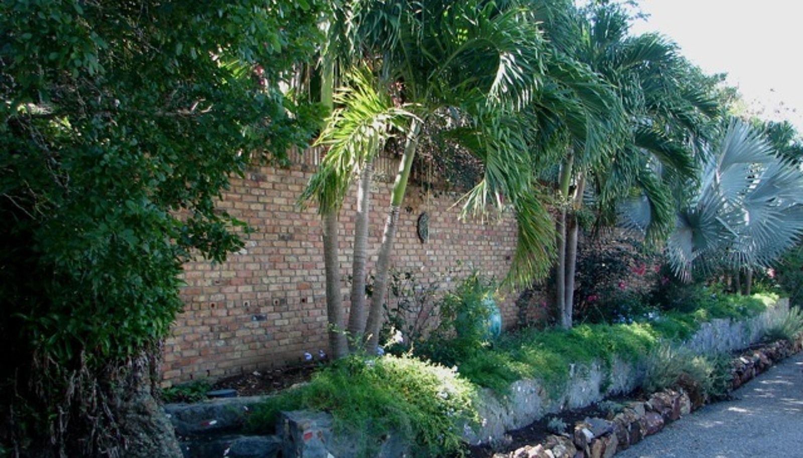 Image 19