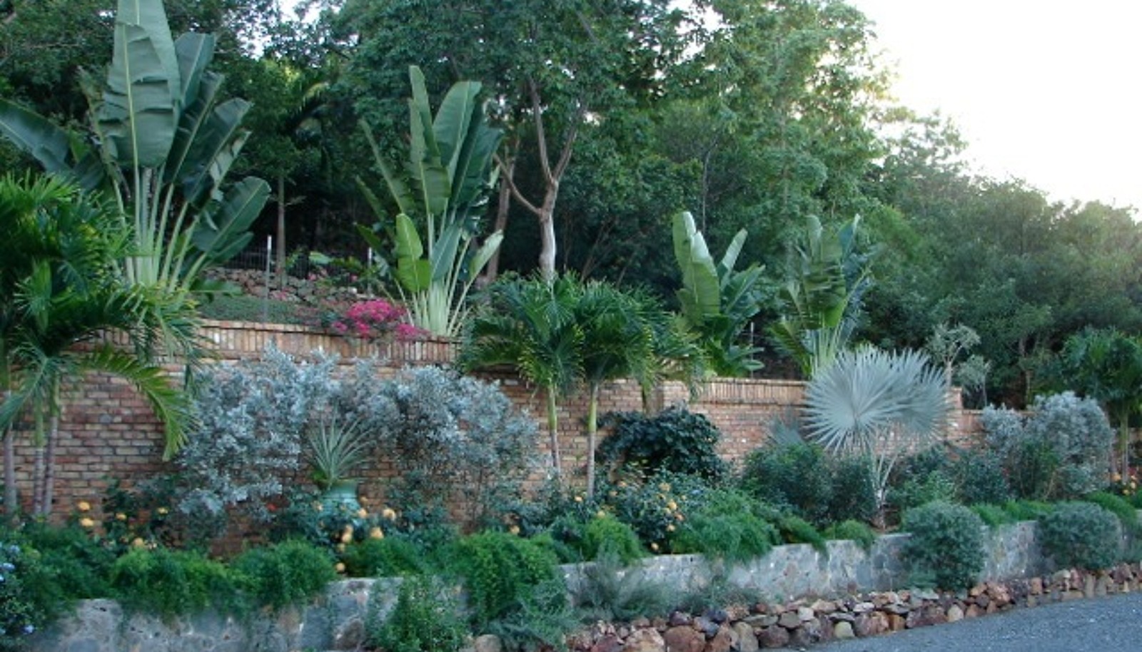 Image 20