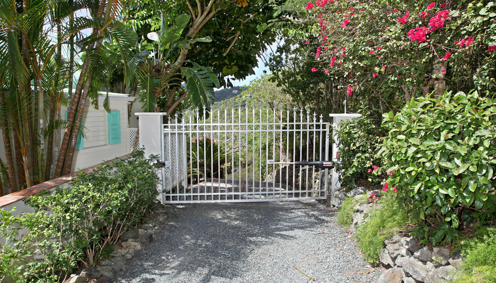 Image 19