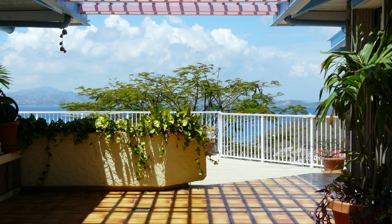 Image 6
