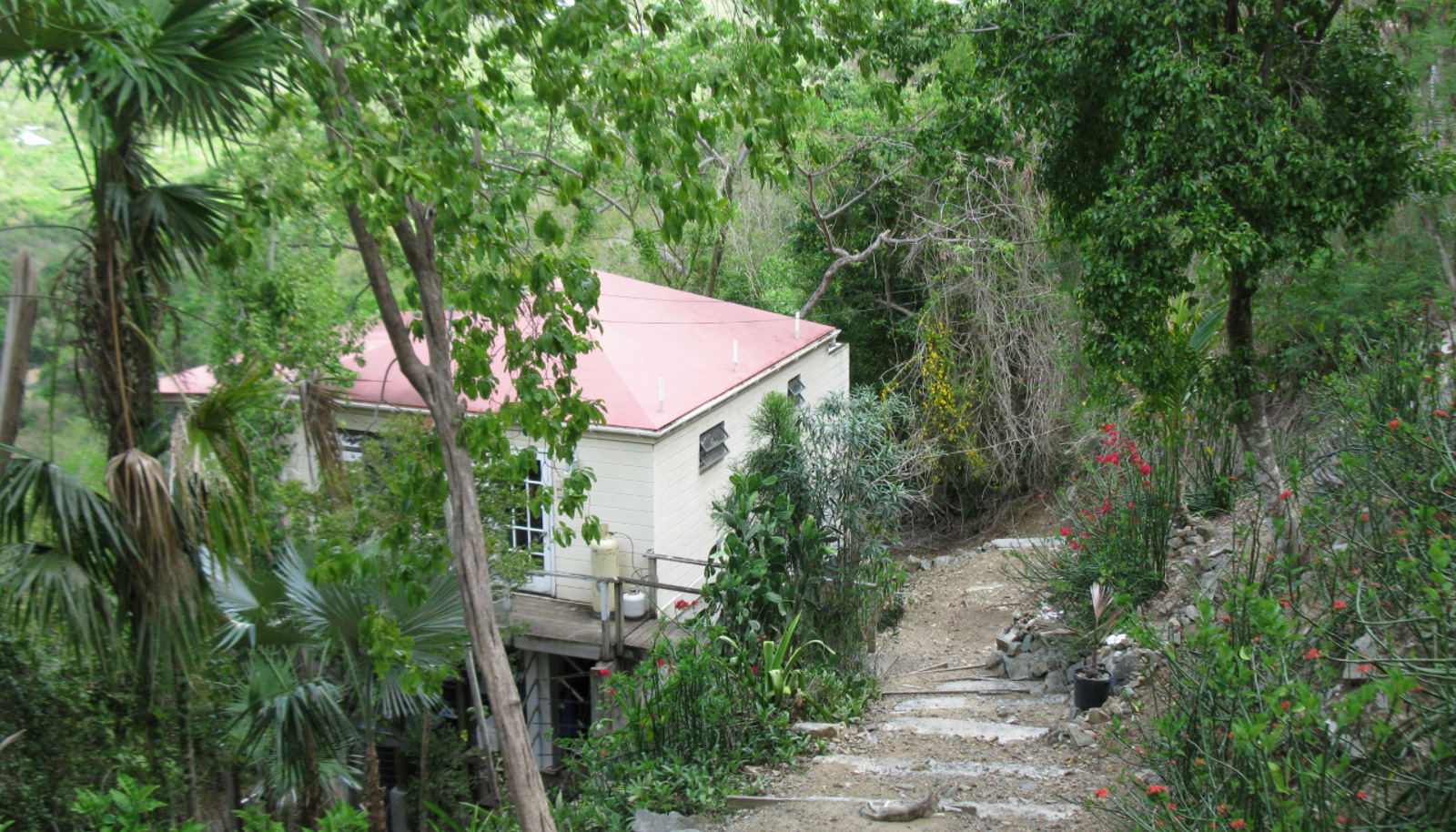 Image 2