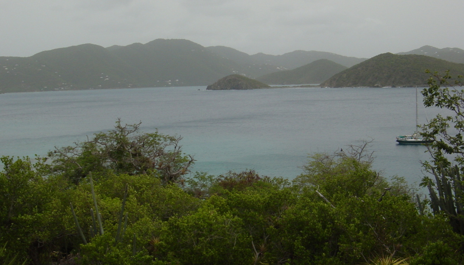 Image 11