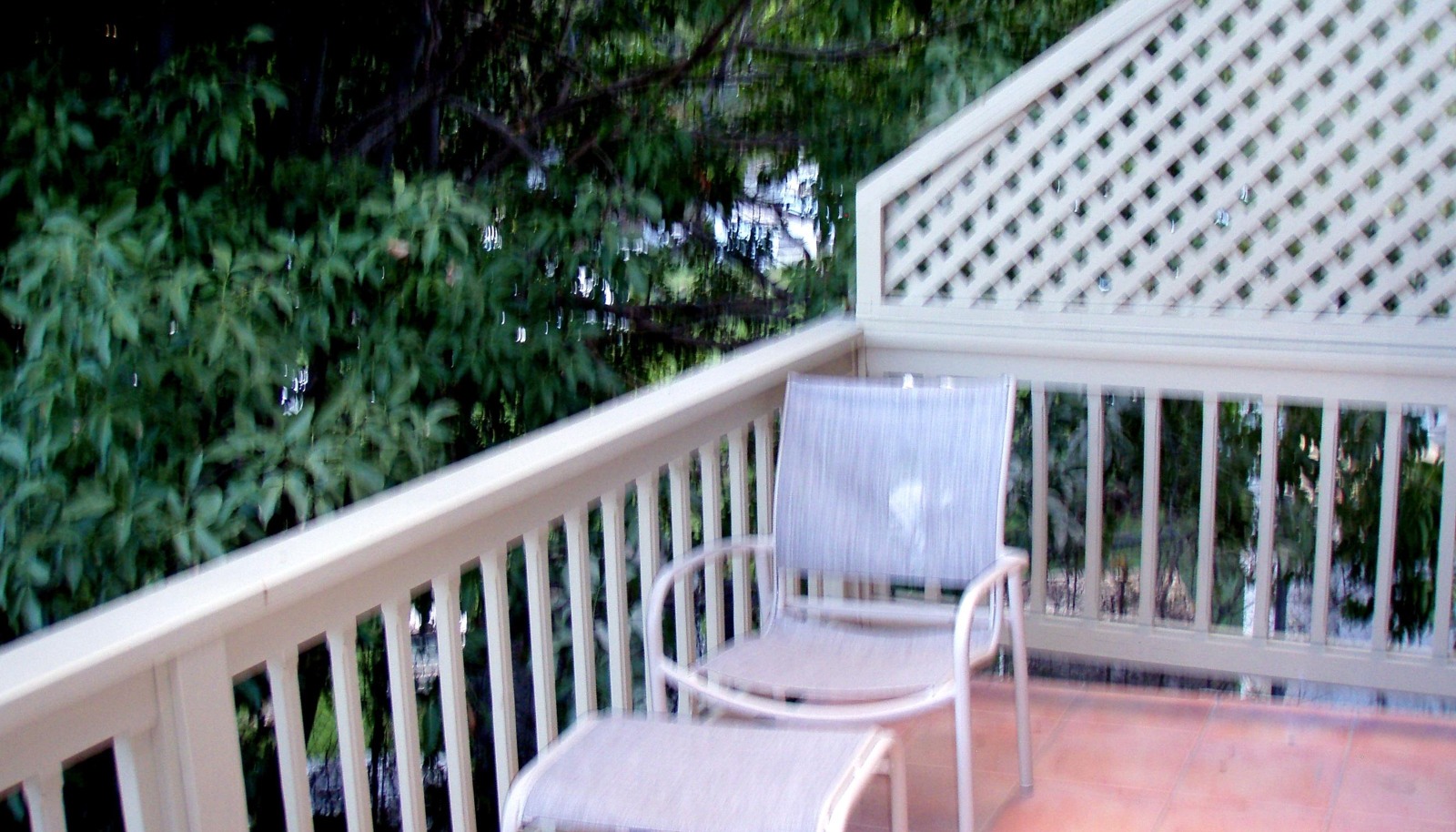 Image 14