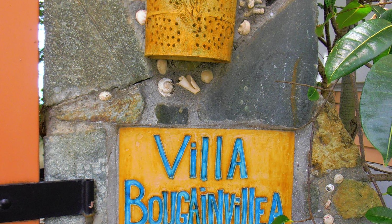 Image 4