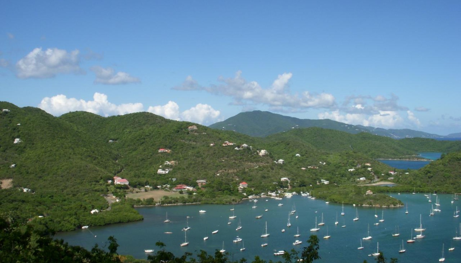 Image 11