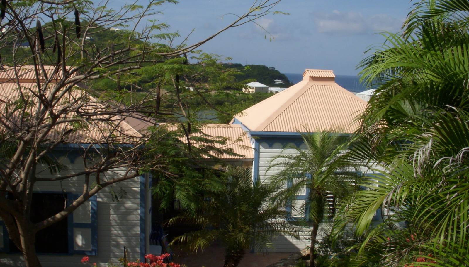 Image 7
