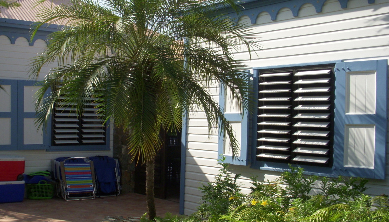 Image 11