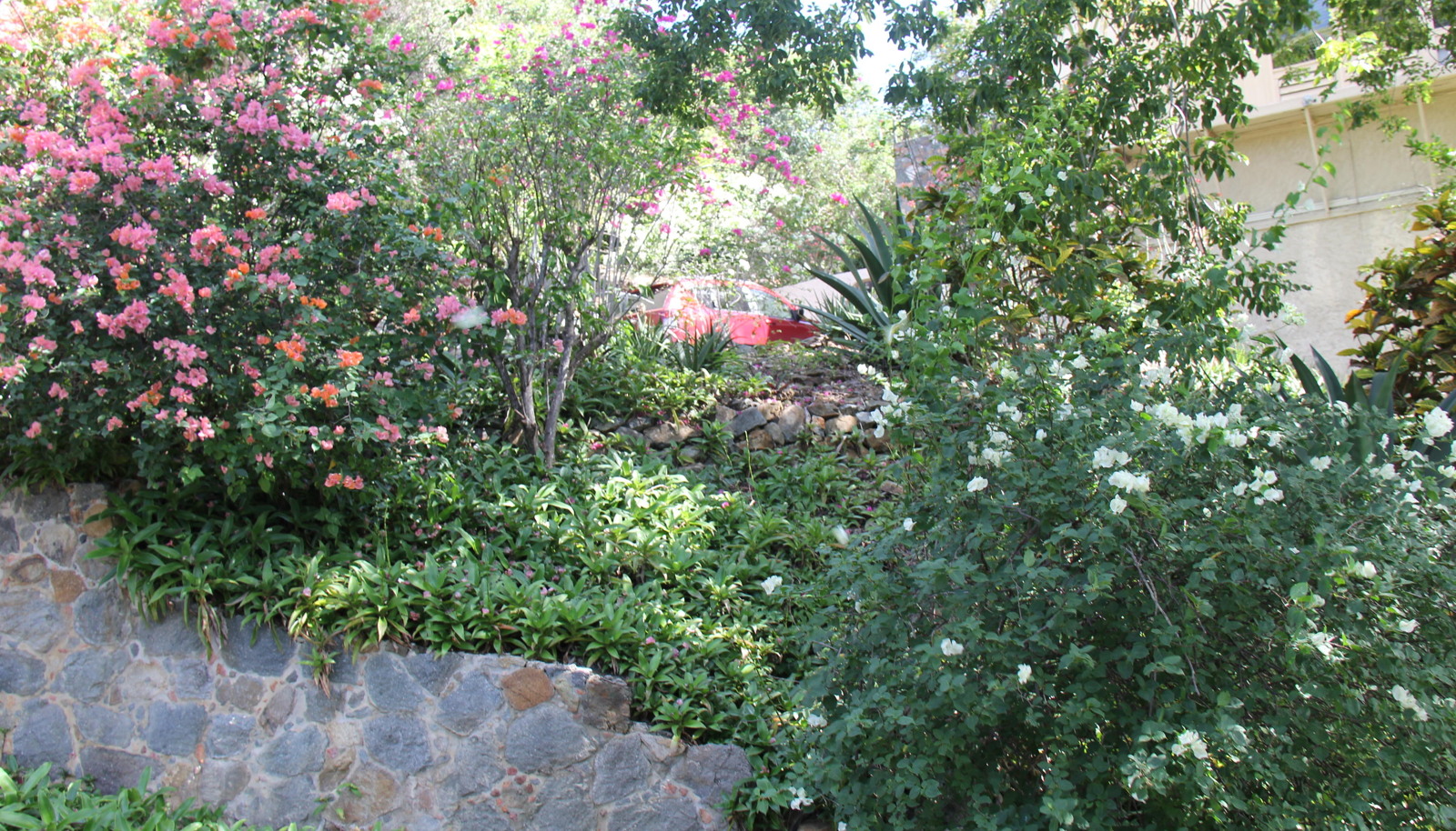 Image 11