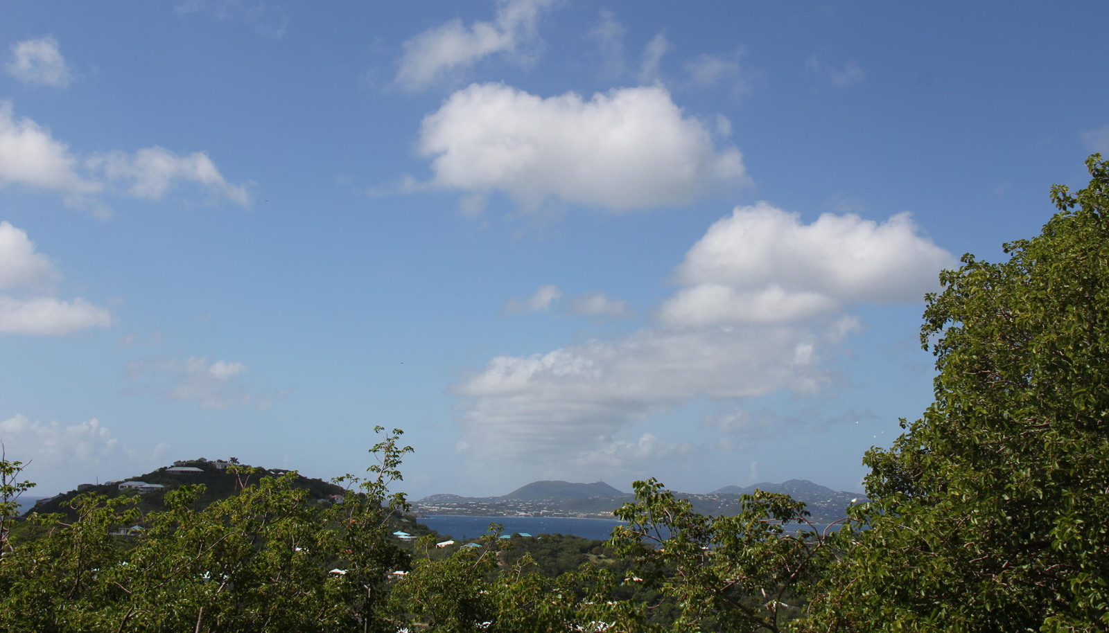 Image 14