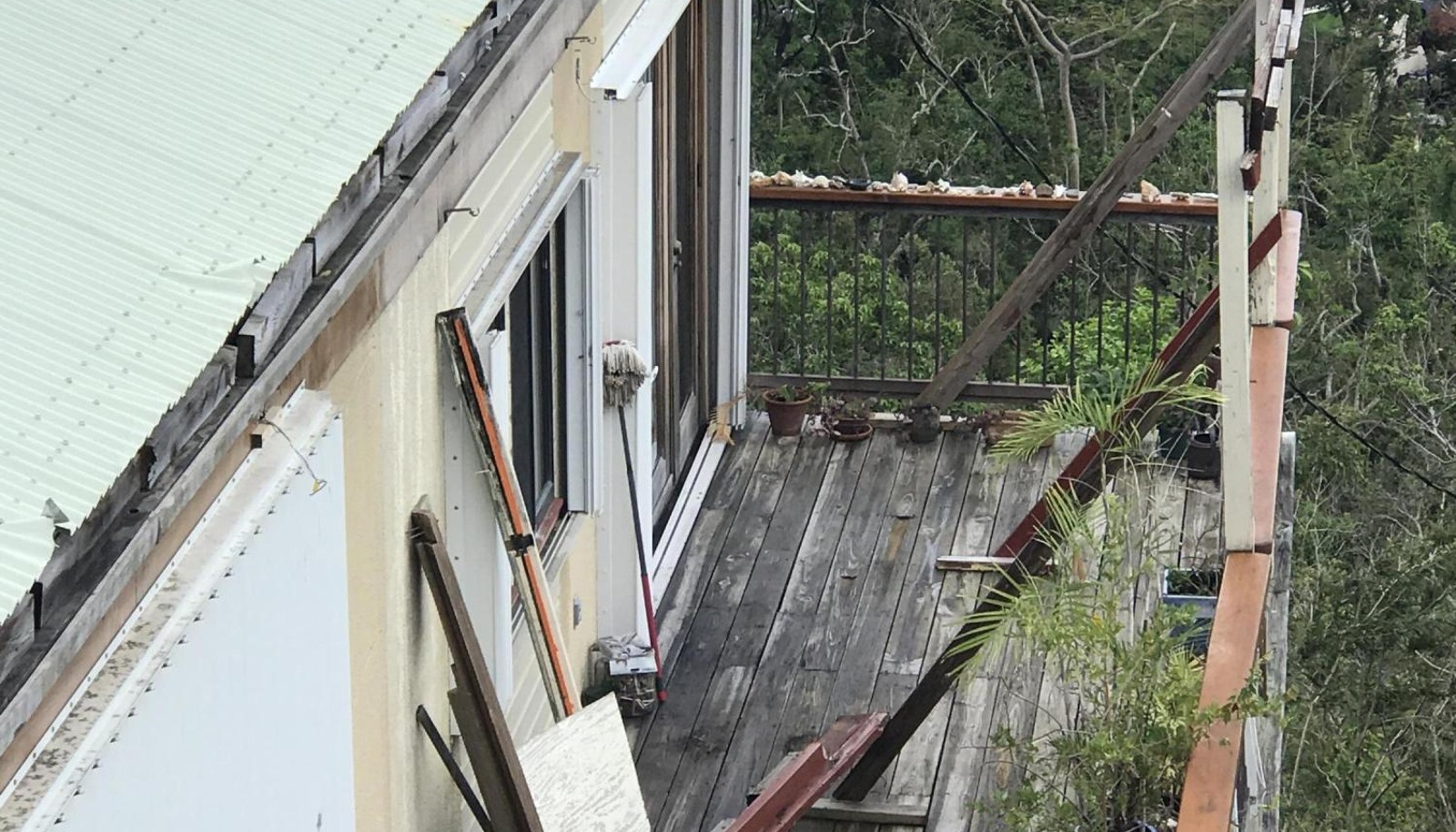 Image 12