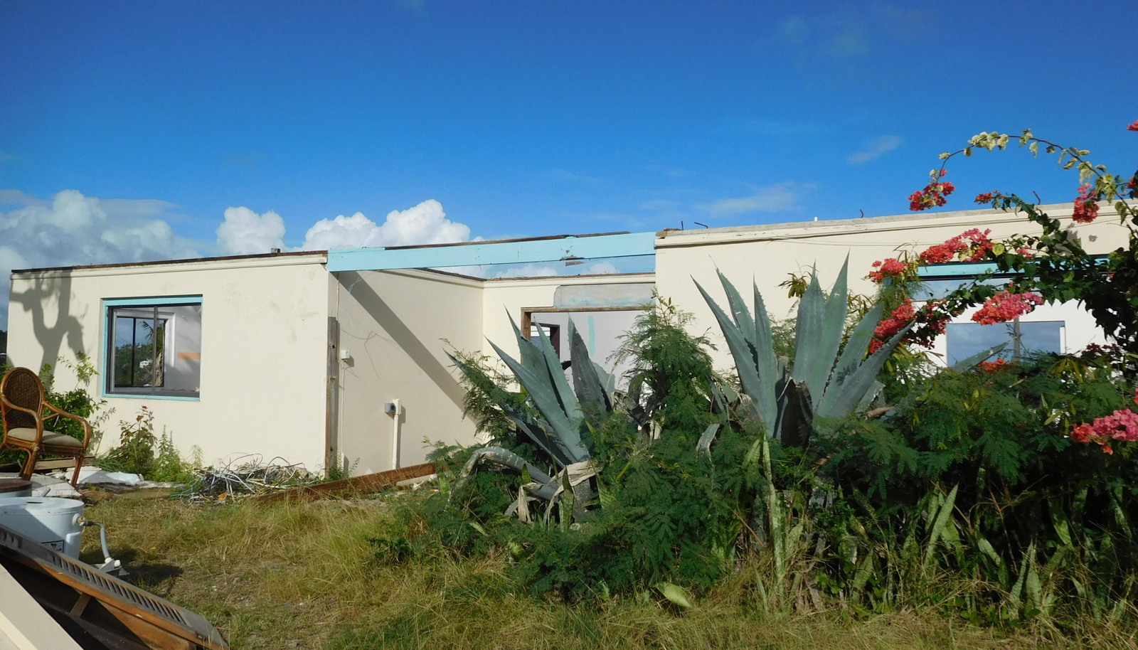 Image 6