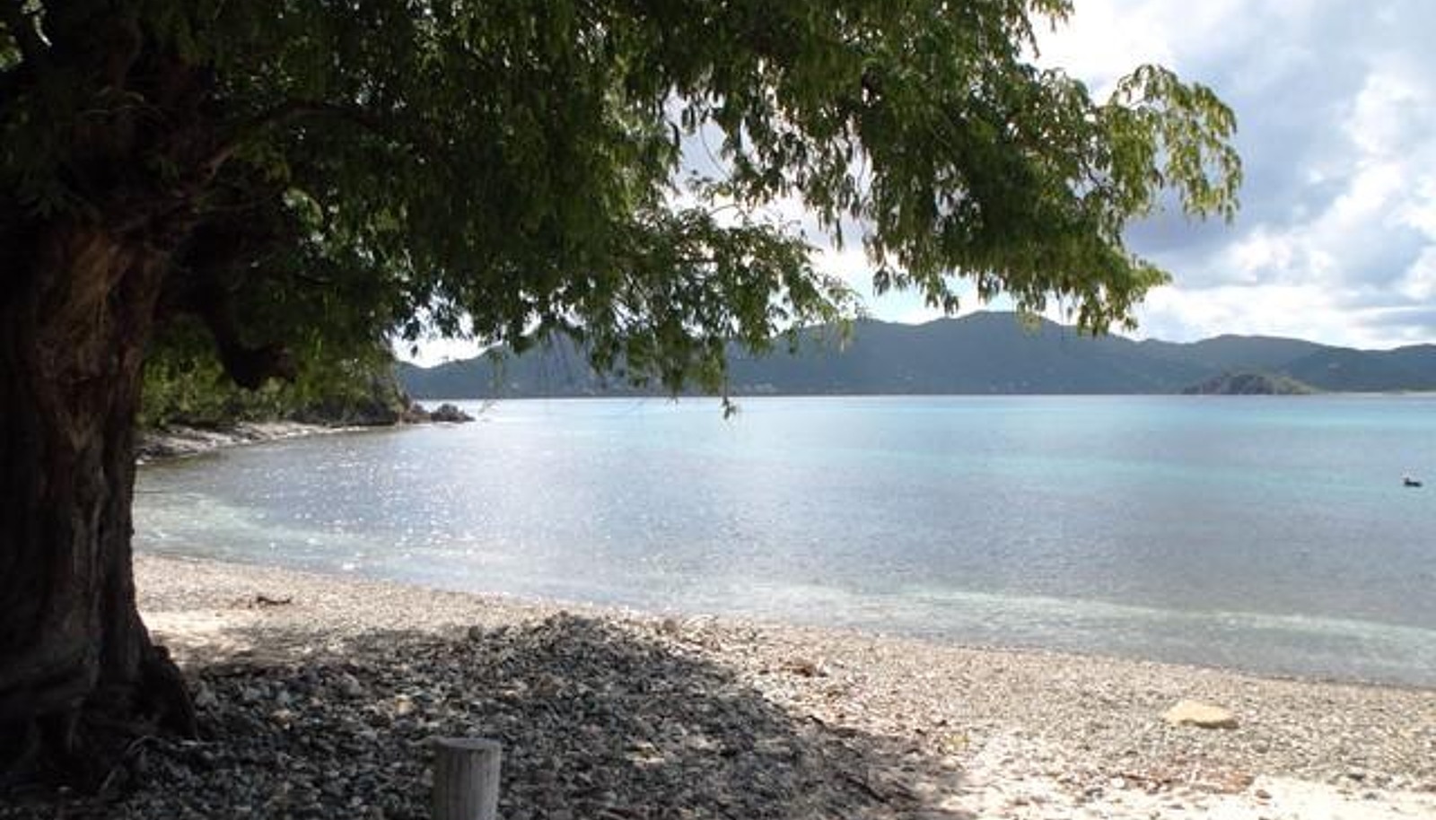 Image 15