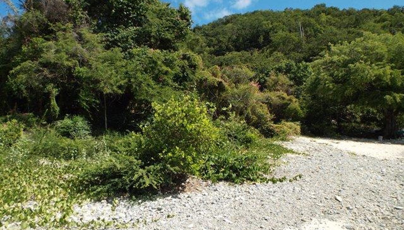 Image 18