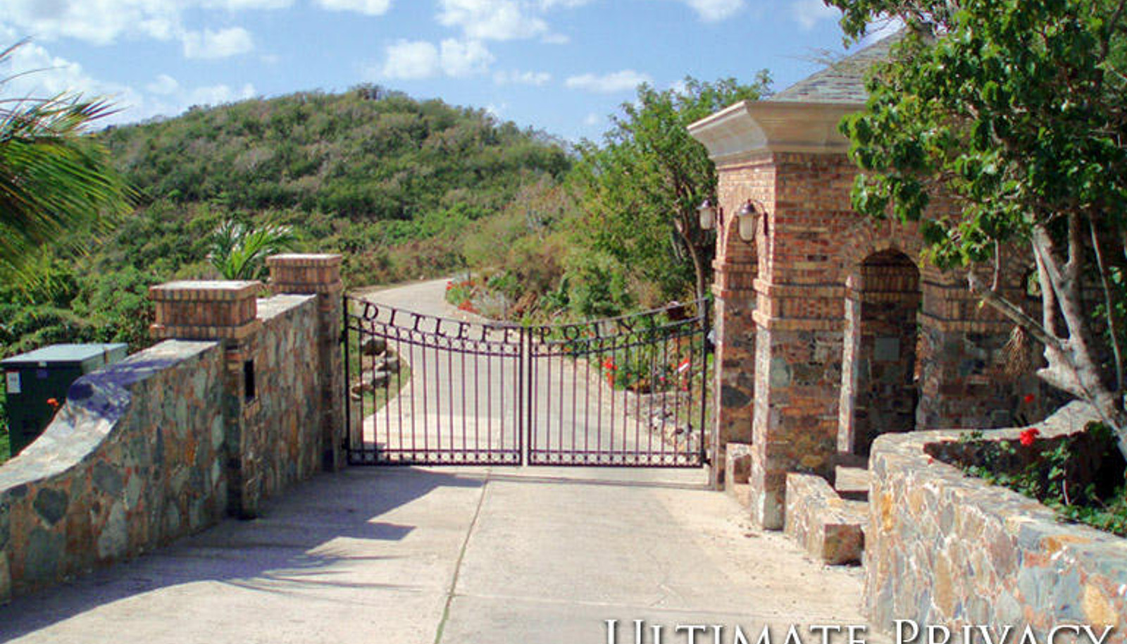 Image 11