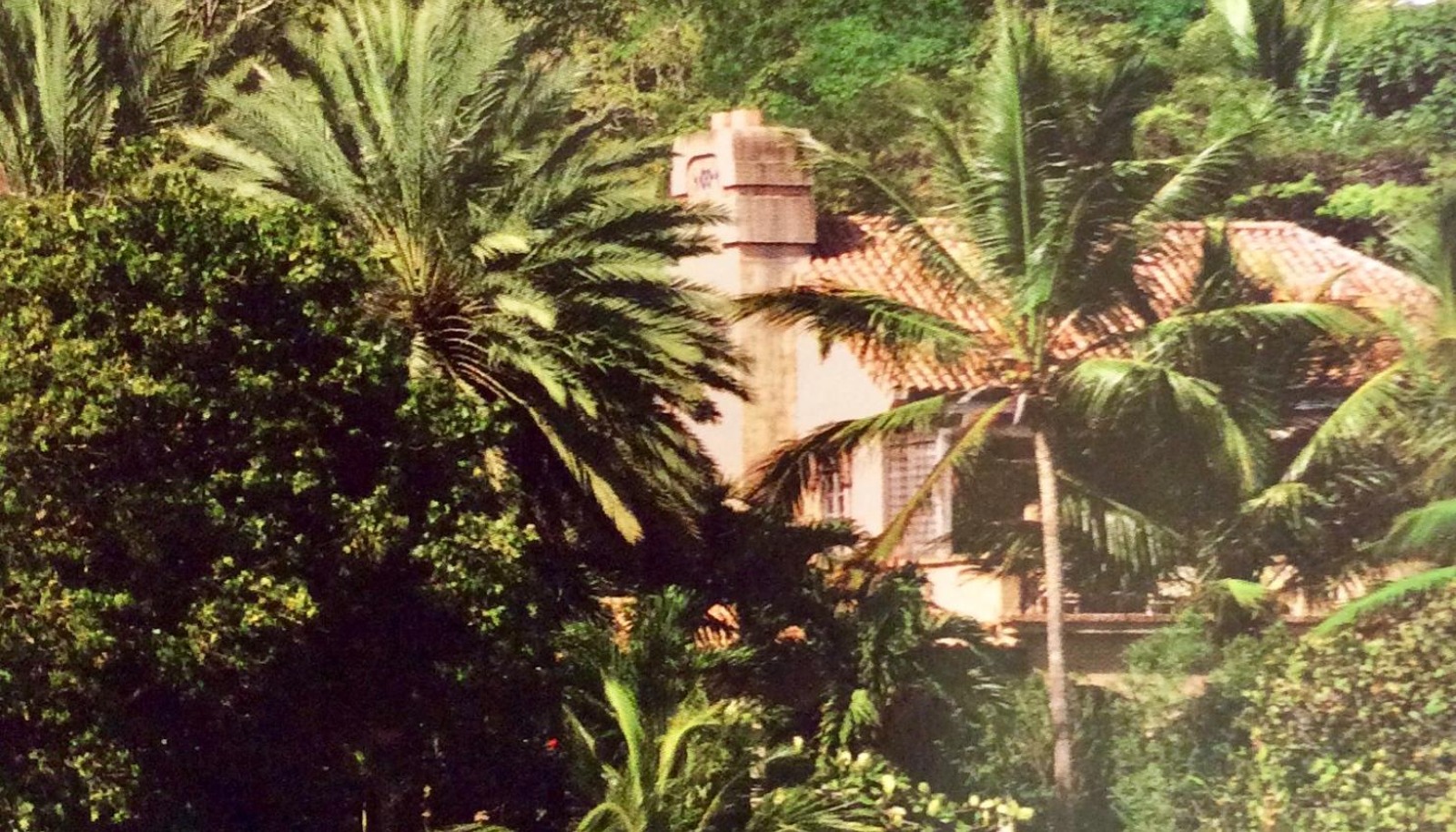 Image 39