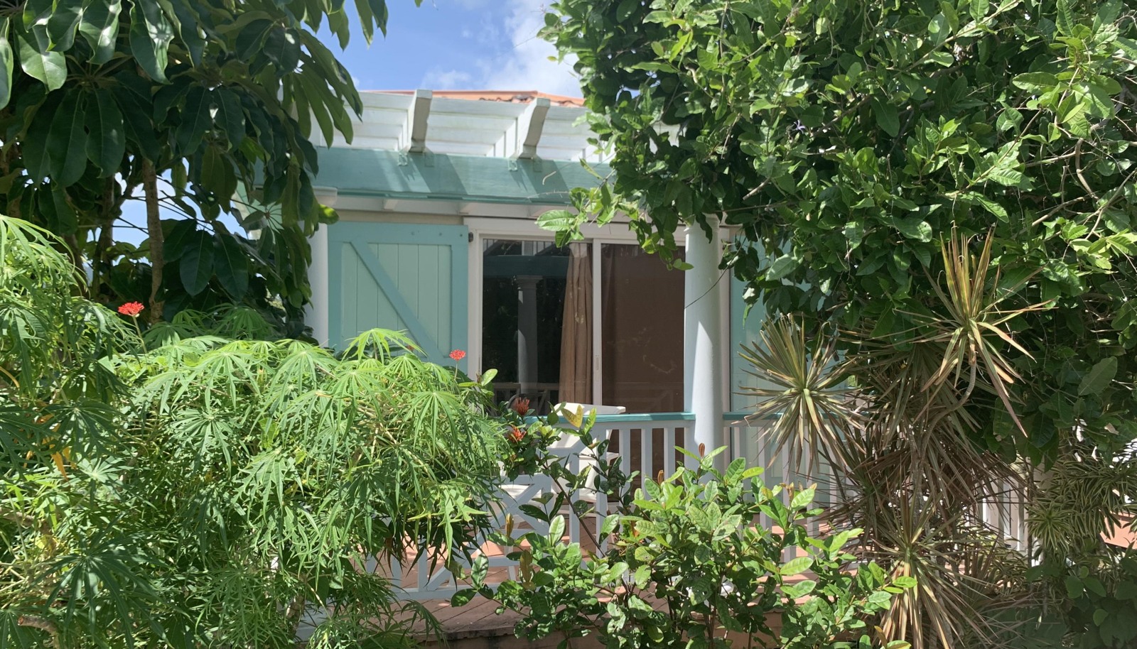 Image 11