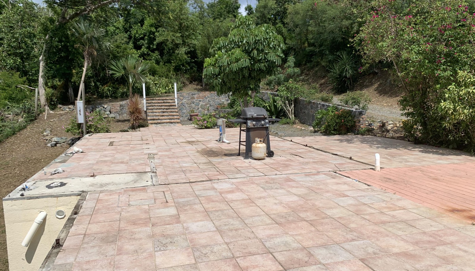 Image 19