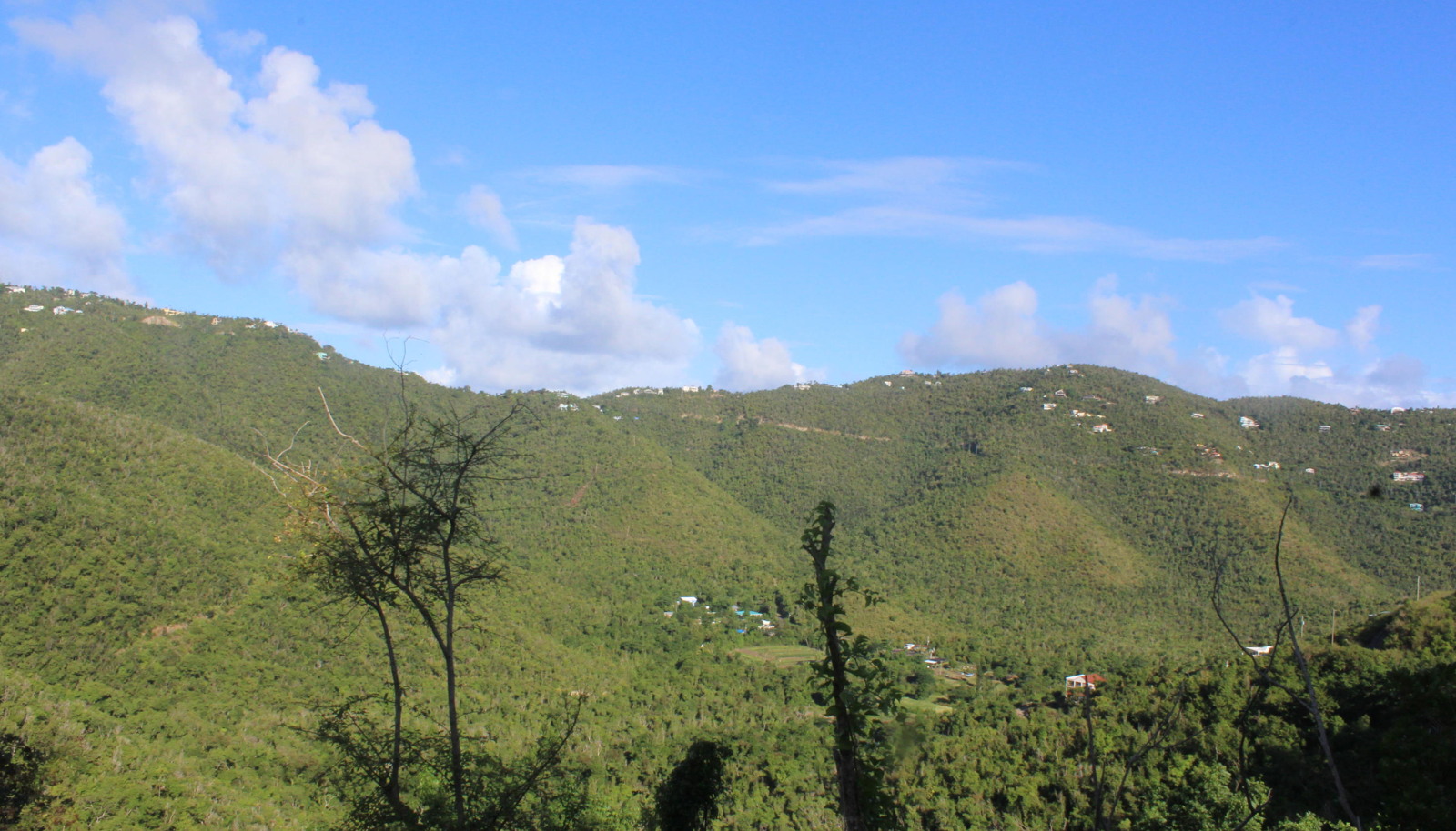 Image 15