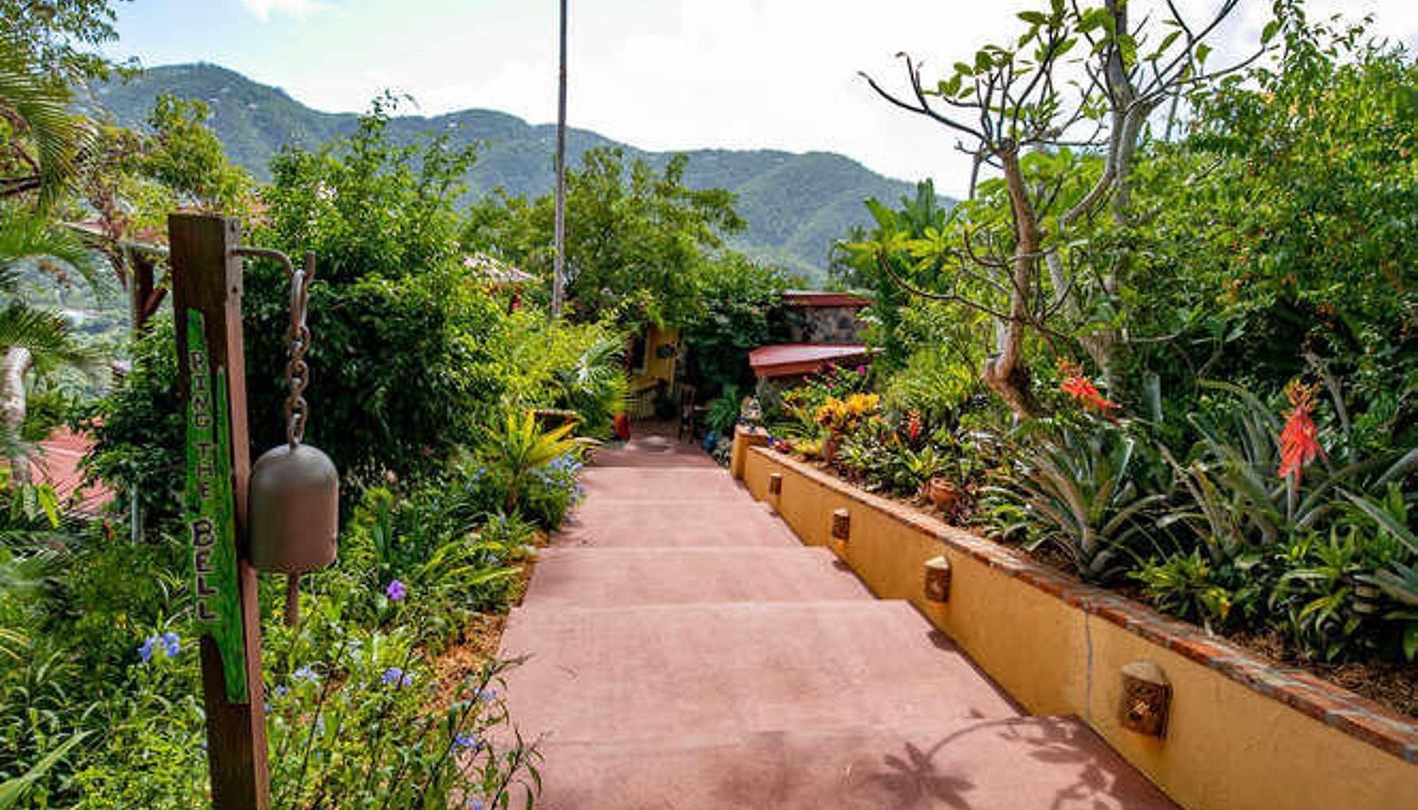 Image 15