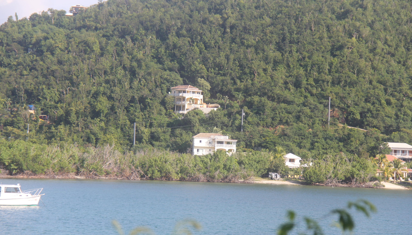 Image 33