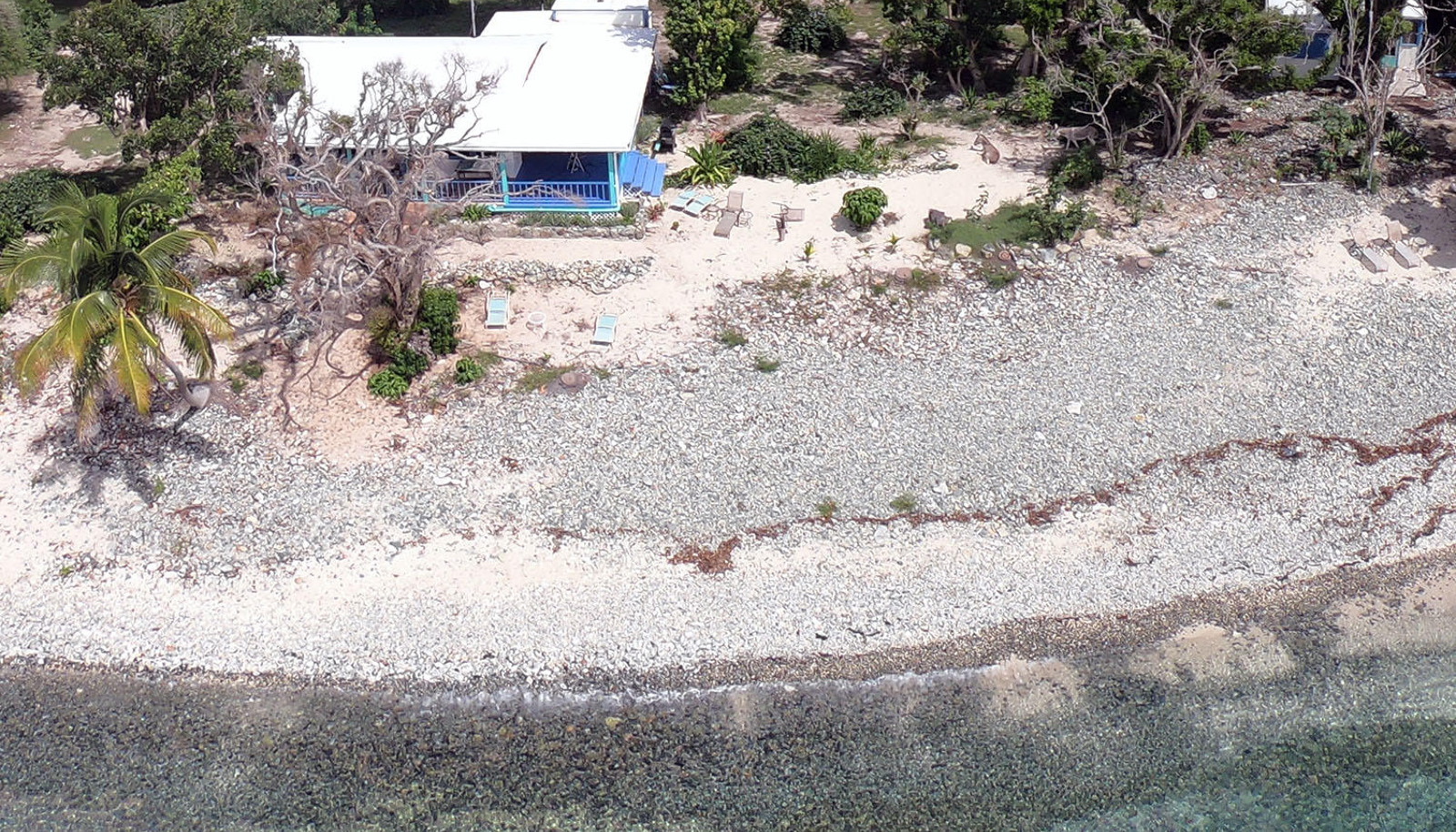 Image 15