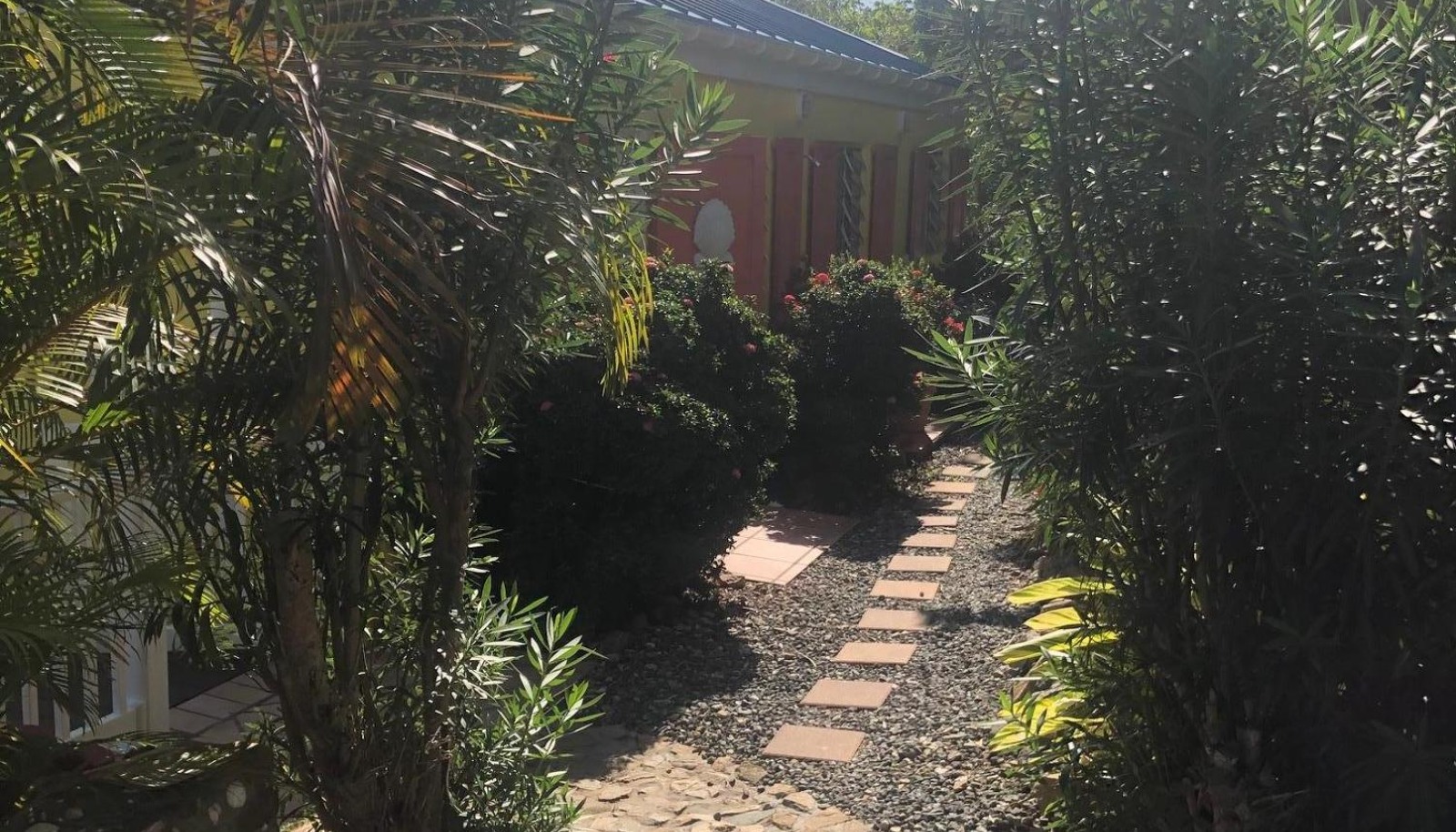 Image 10