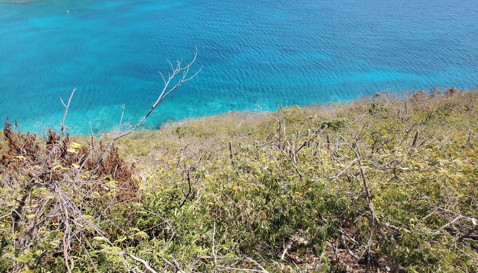 Image 6