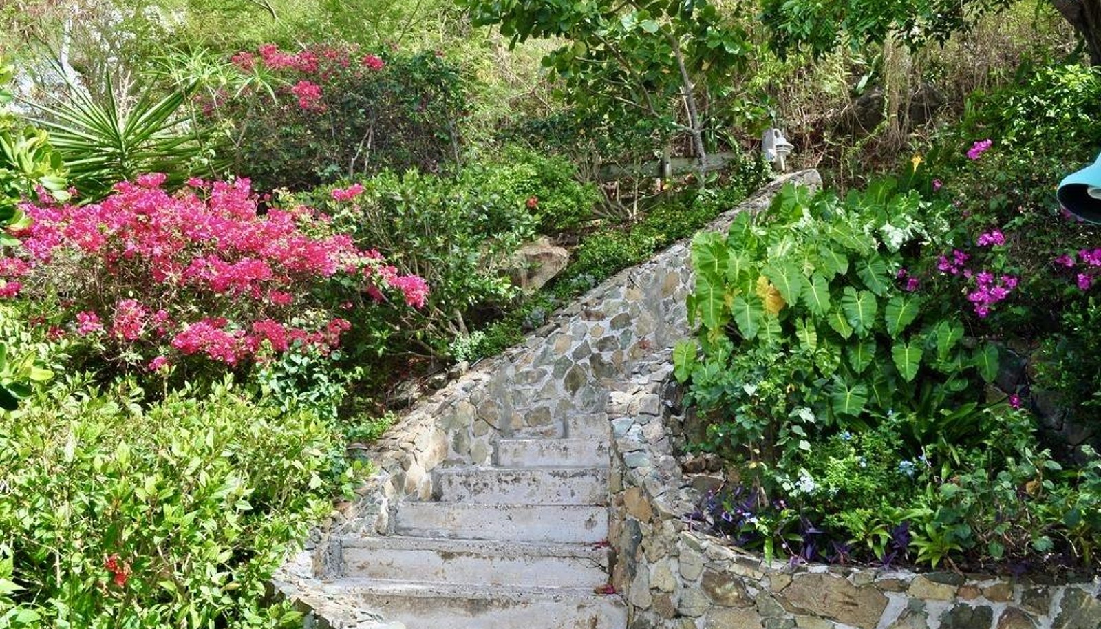 Image 16
