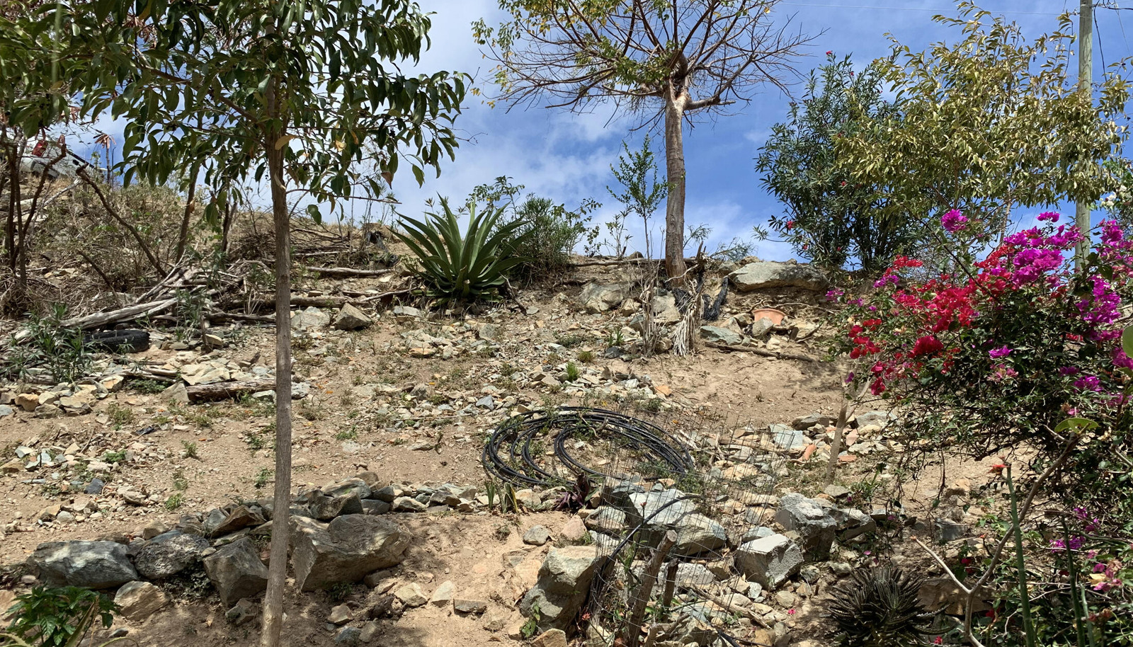 Image 33