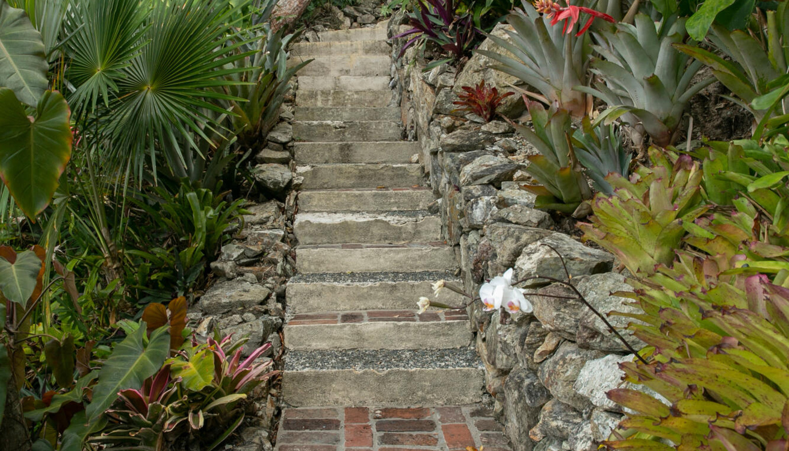 Image 27