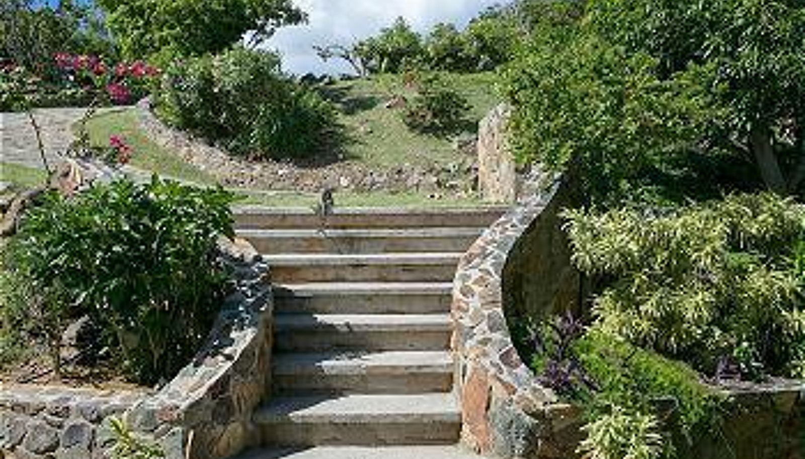 Image 23