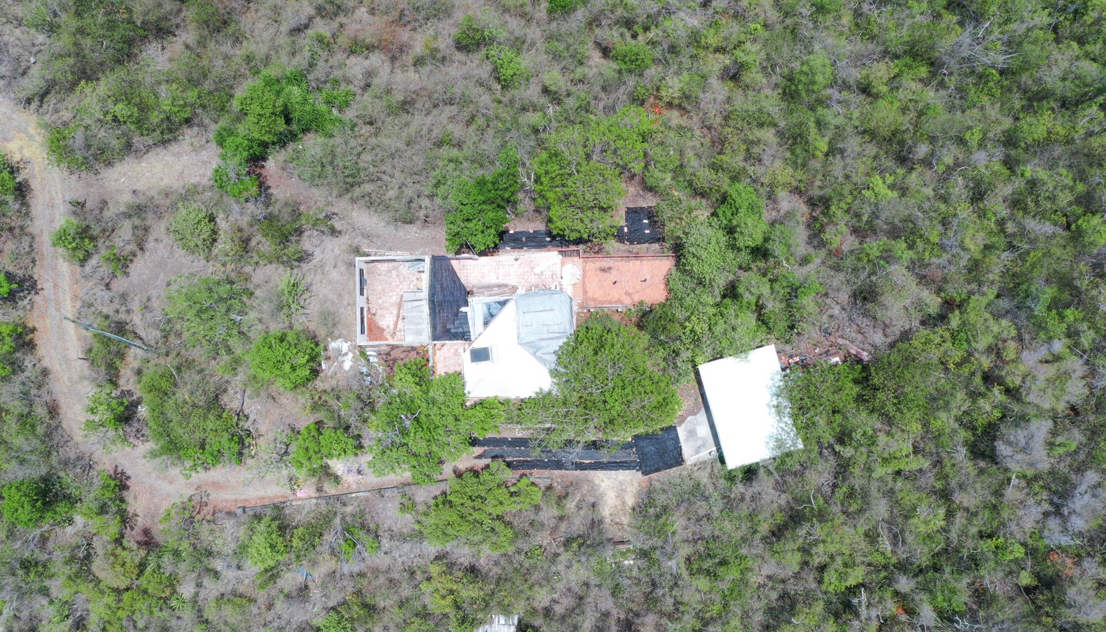 Image 13