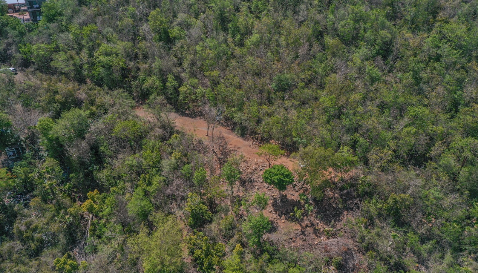 Image 15