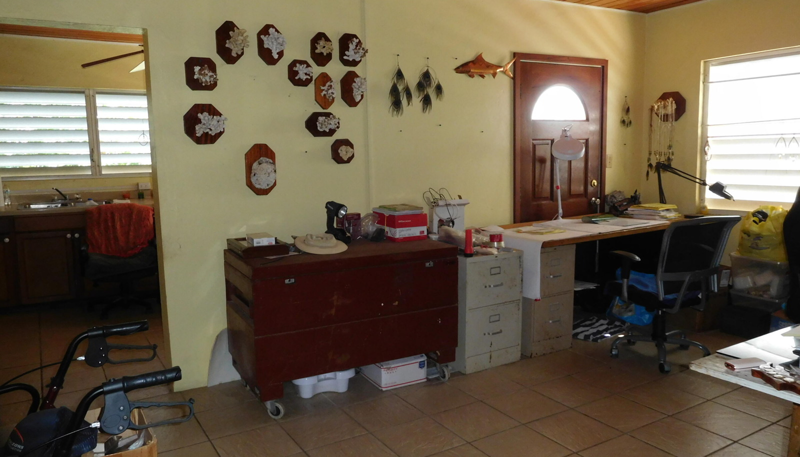 Image 11