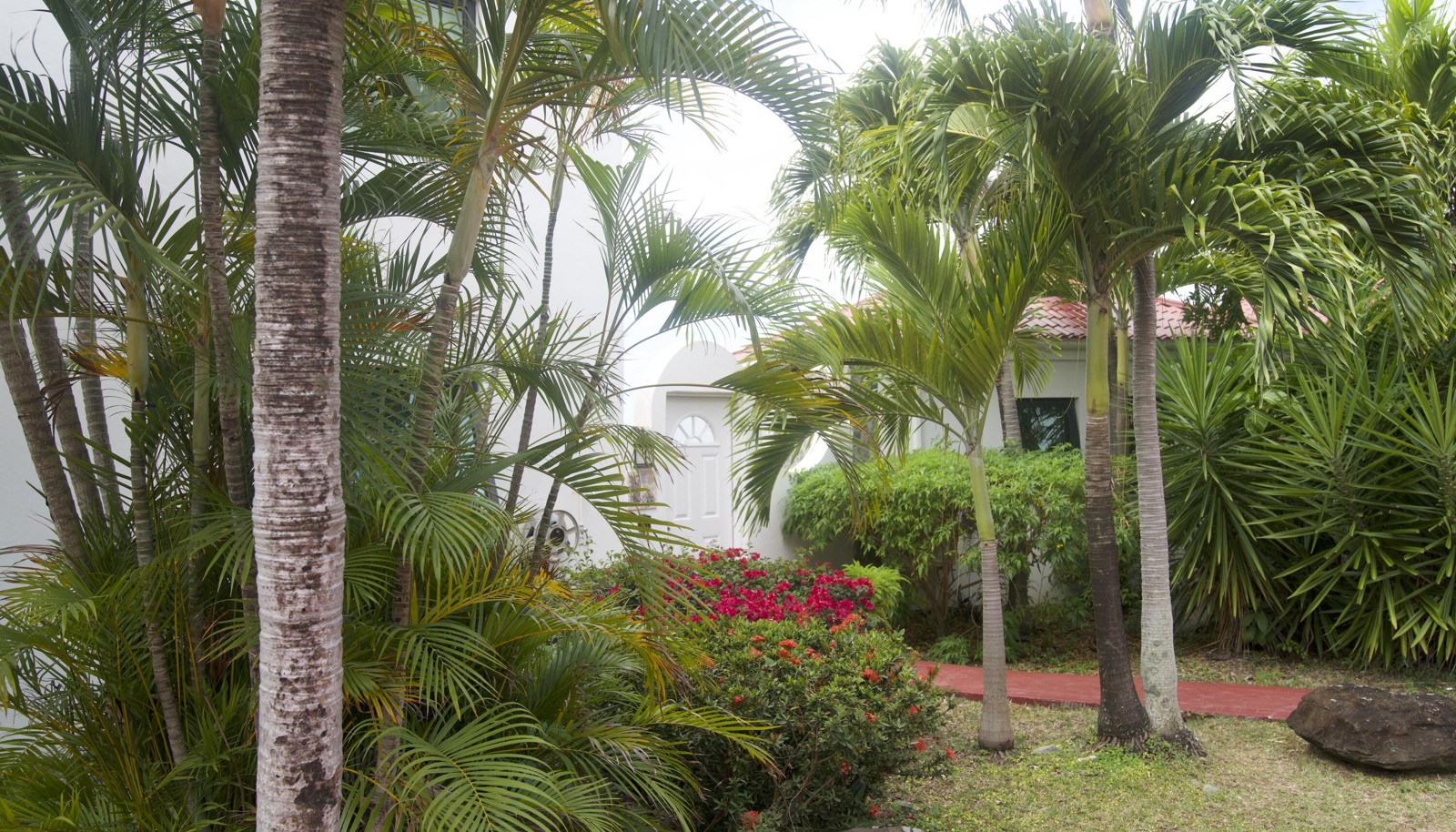 Image 41